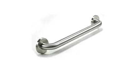 STAINLESS GRAB BARS